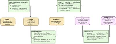 Updates on traditional methods for combating malaria and emerging Wolbachia-based interventions